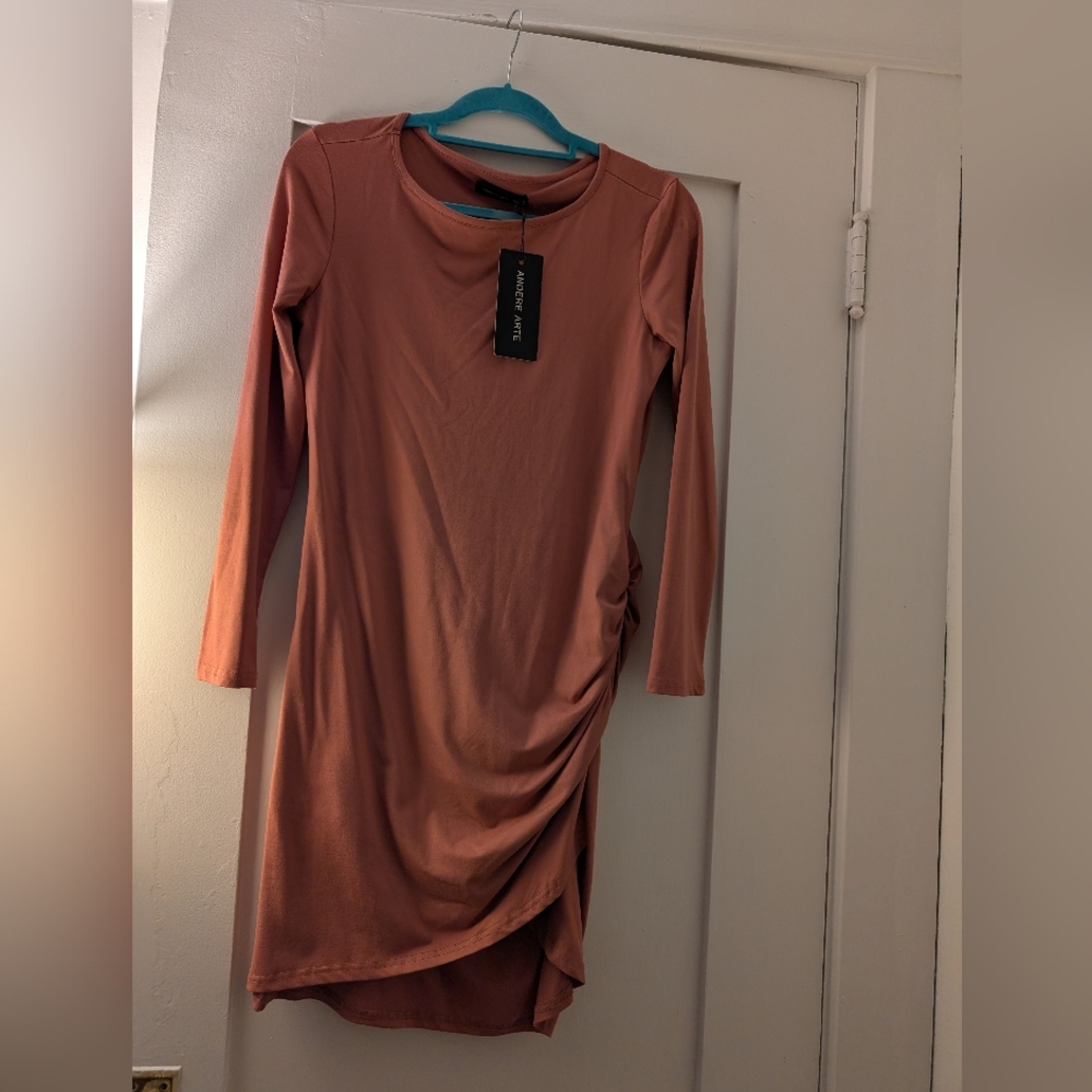 Chic Long Sleeve Dress in Dusty Rose